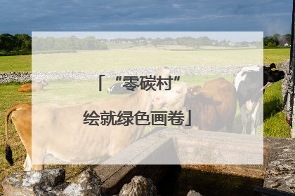 “零碳村” 绘就绿色画卷