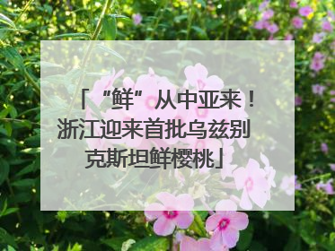 “鲜”从中亚来！浙江迎来首批乌兹别克斯坦鲜樱桃