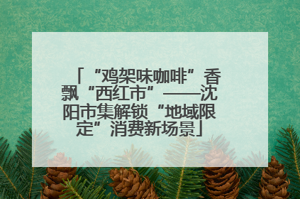 “鸡架味咖啡”香飘“西红市”——沈阳市集解锁“地域限定”消费新场景