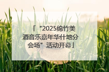 “2025绵竹美酒音乐嘉年华什地分会场”活动开幕