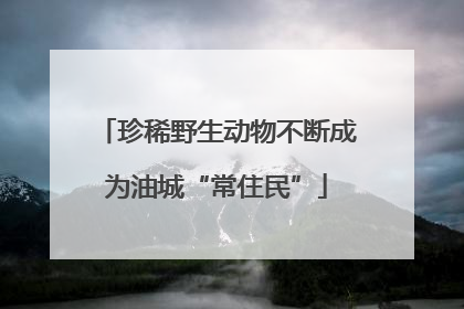 珍稀野生动物不断成为油城“常住民”