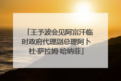 王予波会见阿富汗临时政府代理副总理阿卜杜·萨拉姆·哈纳菲