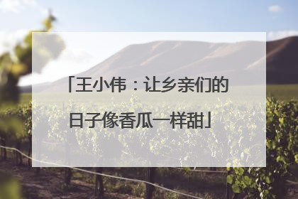 王小伟：让乡亲们的日子像香瓜一样甜