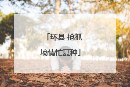 环县 抢抓墒情忙夏种