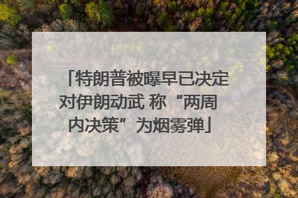 特朗普被曝早已决定对伊朗动武 称“两周内决策”为烟雾弹