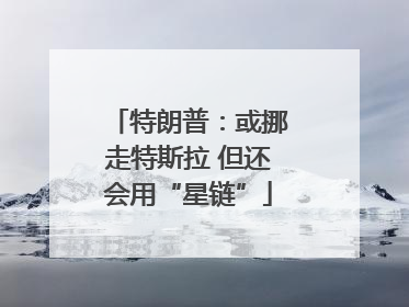 特朗普：或挪走特斯拉 但还会用“星链”