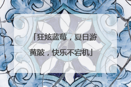狂炫蓝莓，夏日游黄陂，快乐不宕机