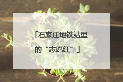 石家庄地铁站里的“志愿红”