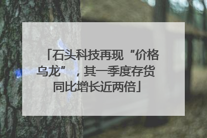 石头科技再现“价格乌龙”，其一季度存货同比增长近两倍