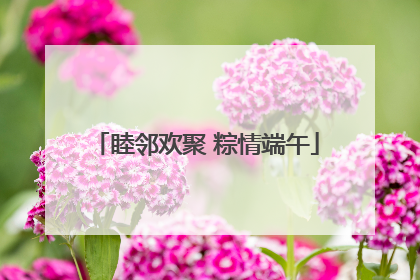 睦邻欢聚 粽情端午