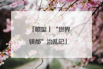 瞭望丨“世界镁都”治乱记