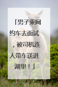 男子乘网约车去面试，被司机连人带车送进湖里！