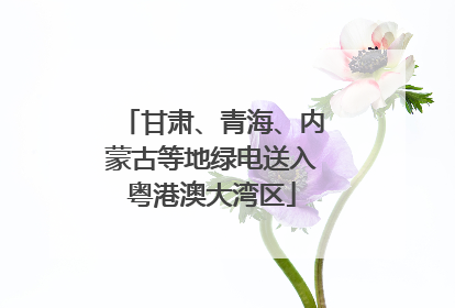 甘肃、青海、内蒙古等地绿电送入粤港澳大湾区