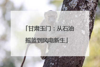 甘肃玉门：从石油摇篮到风电新生