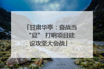 甘肃华亭：奋战当“夏” 打响项目建设攻坚大会战