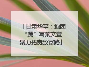 甘肃华亭：抱团“蔬”写菜文章 聚力拓宽致富路