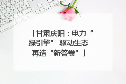 甘肃庆阳：电力“绿引擎” 驱动生态再造“新答卷”