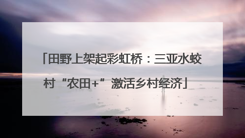 田野上架起彩虹桥：三亚水蛟村“农田+”激活乡村经济