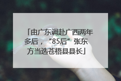 由广东调赴广西两年多后，“85后”张东方当选苍梧县县长