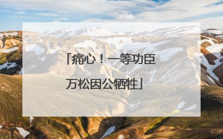 痛心！一等功臣万松因公牺牲