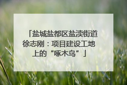 盐城盐都区盐渎街道徐志刚：项目建设工地上的“啄木鸟”