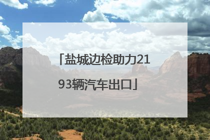盐城边检助力2193辆汽车出口