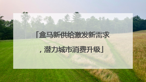 盒马新供给激发新需求，潜力城市消费升级