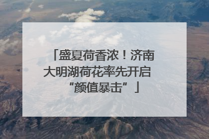 盛夏荷香浓！济南大明湖荷花率先开启“颜值暴击”