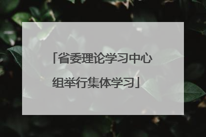 省委理论学习中心组举行集体学习