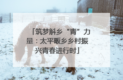 筑梦斛乡“青”力量：太平畈乡乡村振兴青春进行时
