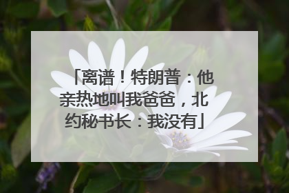 离谱！特朗普：他亲热地叫我爸爸，北约秘书长：我没有