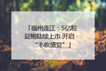 福州连江：5亿粒夏鲍陆续上市 开启“丰收盛宴”