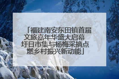 福建南安东田镇首届文旅嘉年华盛大启幕 圩日市集与杨梅采摘点燃乡村振兴新动能