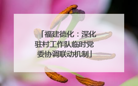 福建德化：深化驻村工作队临时党委协调联动机制