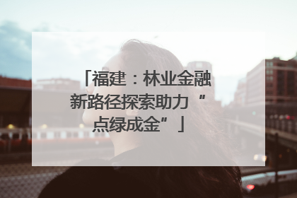 福建：林业金融新路径探索助力“点绿成金”