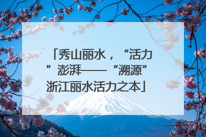 秀山丽水，“活力”澎湃——“溯源”浙江丽水活力之本