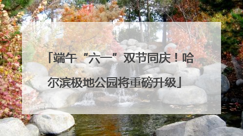 端午“六一”双节同庆！哈尔滨极地公园将重磅升级