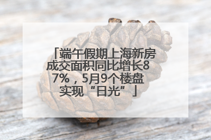 端午假期上海新房成交面积同比增长87%,5月9个楼盘实现“日光”