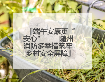 端午安康更“安心”——随州消防多举措筑牢乡村安全屏障