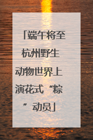 端午将至 杭州野生动物世界上演花式“粽”动员