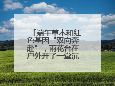 端午草木和红色基因“双向奔赴”，雨花台在户外开了一堂沉浸式思政课