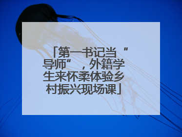 第一书记当“导师”，外籍学生来怀柔体验乡村振兴现场课