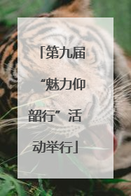 第九届“魅力仰韶行”活动举行