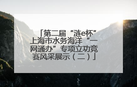 第二届“涟e杯”上海市水务海洋“一网通办”专项立功竞赛风采展示（二）