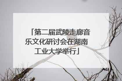 第二届武陵走廊音乐文化研讨会在湖南工业大学举行