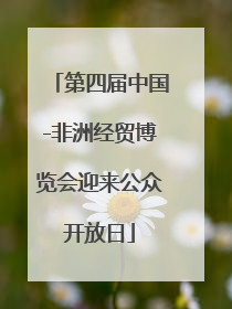 第四届中国-非洲经贸博览会迎来公众开放日