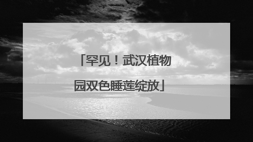 罕见！武汉植物园双色睡莲绽放