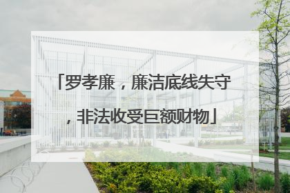 罗孝廉，廉洁底线失守，非法收受巨额财物