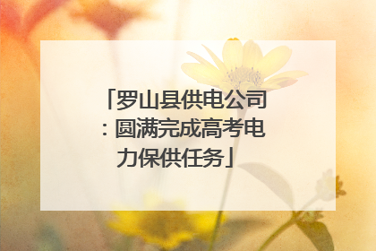 罗山县供电公司：圆满完成高考电力保供任务