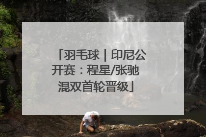 羽毛球｜印尼公开赛：程星/张驰混双首轮晋级